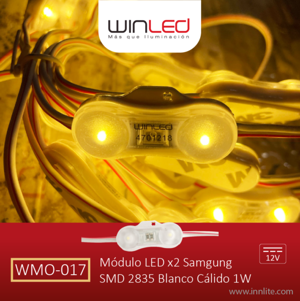 WMO-017-1