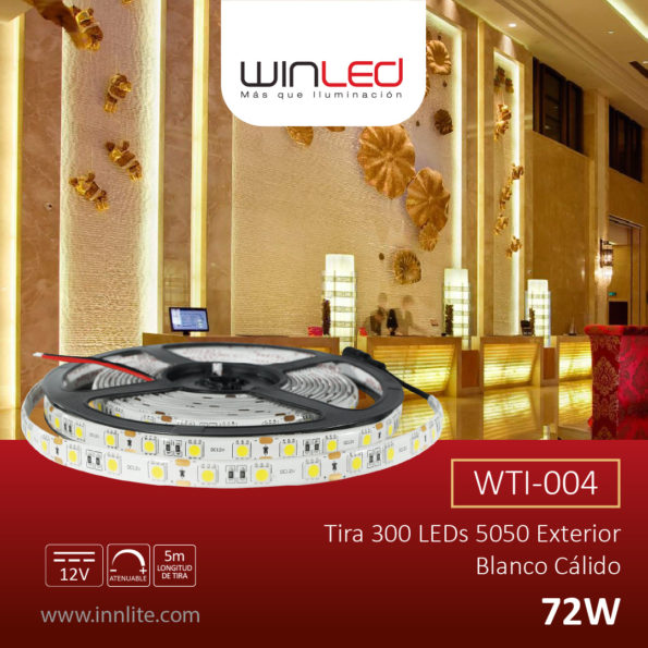 WTI-004 copia-80